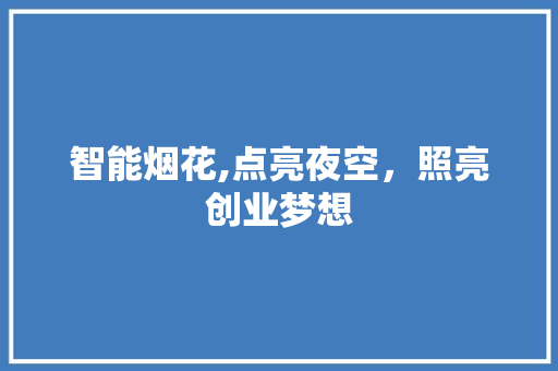 智能烟花,点亮夜空，照亮创业梦想