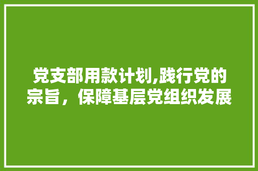 党支部用款计划,践行党的宗旨，保障基层党组织发展