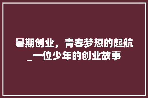 暑期创业，青春梦想的起航_一位少年的创业故事