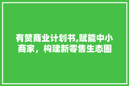 有赞商业计划书,赋能中小商家，构建新零售生态圈