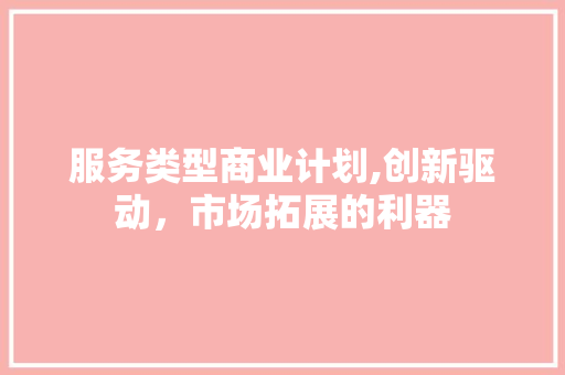 服务类型商业计划,创新驱动，市场拓展的利器