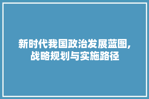 新时代我国政治发展蓝图,战略规划与实施路径