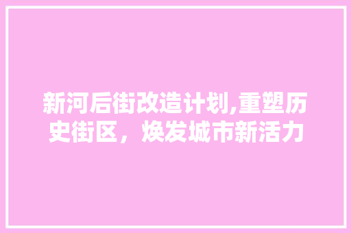 新河后街改造计划,重塑历史街区，焕发城市新活力