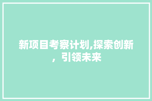 新项目考察计划,探索创新，引领未来