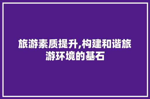 旅游素质提升,构建和谐旅游环境的基石