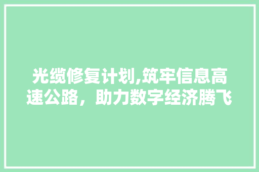 光缆修复计划,筑牢信息高速公路，助力数字经济腾飞