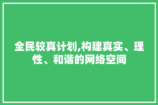 全民较真计划,构建真实、理性、和谐的网络空间