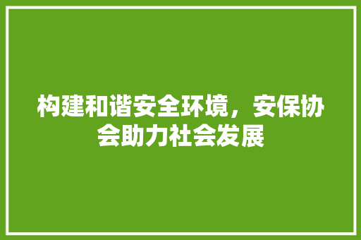 构建和谐安全环境，安保协会助力社会发展