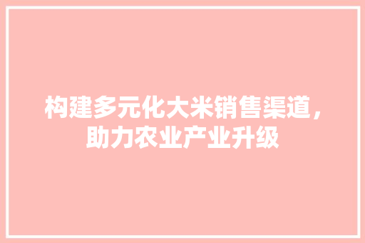 构建多元化大米销售渠道，助力农业产业升级
