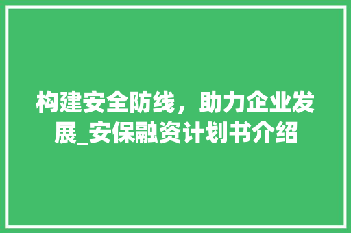 构建安全防线，助力企业发展_安保融资计划书介绍