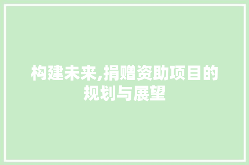 构建未来,捐赠资助项目的规划与展望