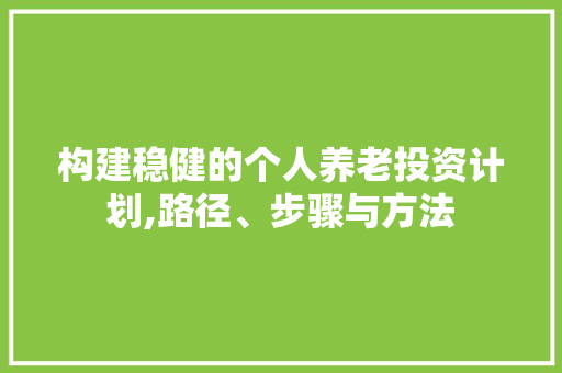 构建稳健的个人养老投资计划,路径、步骤与方法