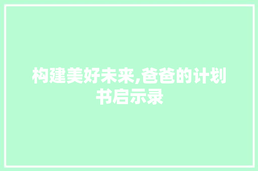 构建美好未来,爸爸的计划书启示录