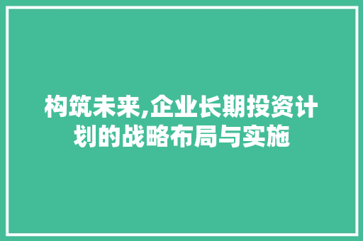 构筑未来,企业长期投资计划的战略布局与实施