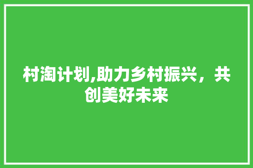 村淘计划,助力乡村振兴，共创美好未来