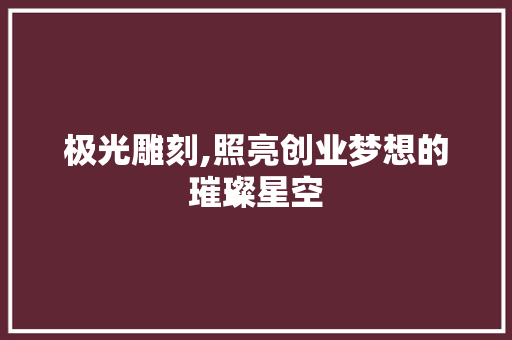 极光雕刻,照亮创业梦想的璀璨星空