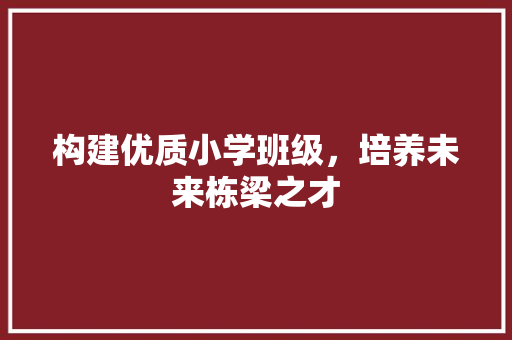 构建优质小学班级，培养未来栋梁之才