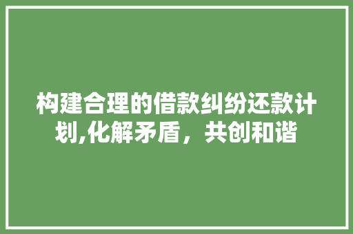 构建合理的借款纠纷还款计划,化解矛盾，共创和谐