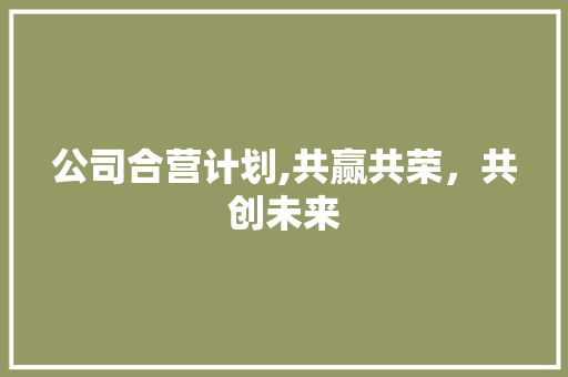 公司合营计划,共赢共荣，共创未来