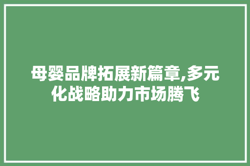 母婴品牌拓展新篇章,多元化战略助力市场腾飞