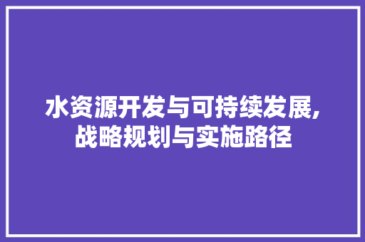 水资源开发与可持续发展,战略规划与实施路径