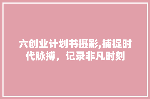 六创业计划书摄影,捕捉时代脉搏，记录非凡时刻
