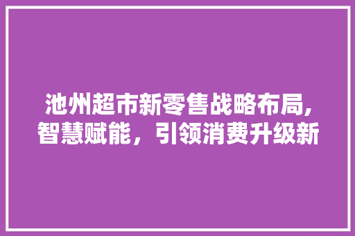 池州超市新零售战略布局,智慧赋能，引领消费升级新潮流