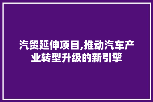 汽贸延伸项目,推动汽车产业转型升级的新引擎