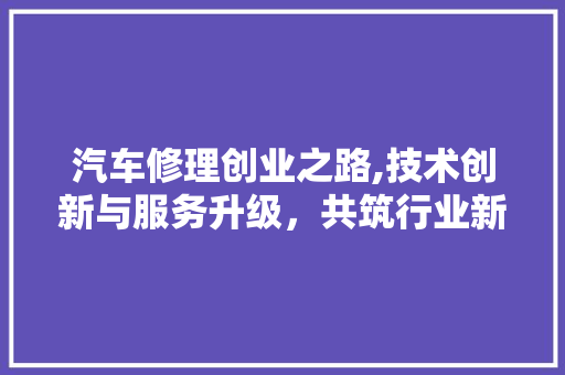 汽车修理创业之路,技术创新与服务升级，共筑行业新篇章