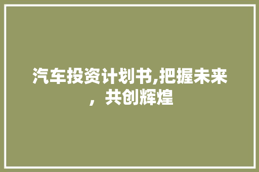 汽车投资计划书,把握未来，共创辉煌