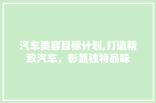 汽车美容目标计划,打造精致汽车，彰显独特品味