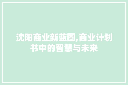 沈阳商业新蓝图,商业计划书中的智慧与未来