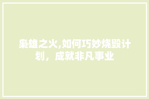 枭雄之火,如何巧妙烧毁计划，成就非凡事业