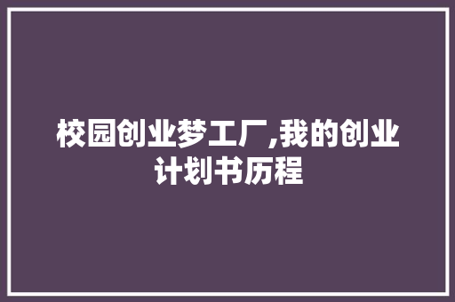 校园创业梦工厂,我的创业计划书历程