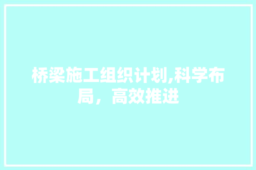 桥梁施工组织计划,科学布局，高效推进