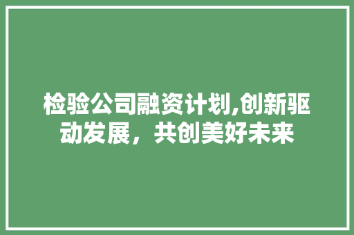 检验公司融资计划,创新驱动发展，共创美好未来 短语