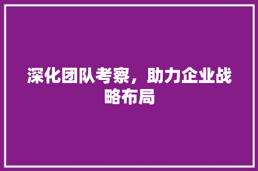 深化团队考察，助力企业战略布局