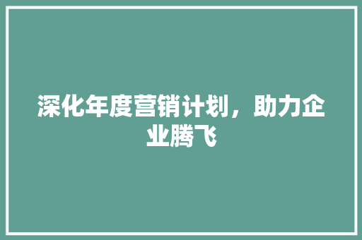 深化年度营销计划，助力企业腾飞