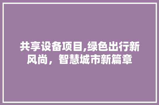 共享设备项目,绿色出行新风尚，智慧城市新篇章