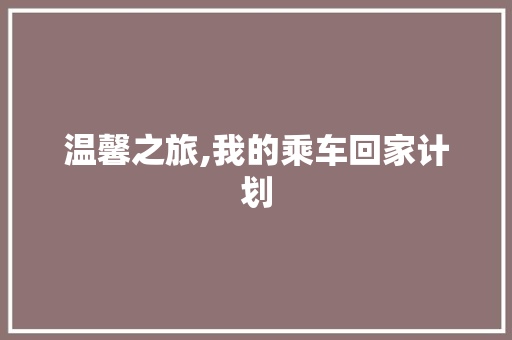温馨之旅,我的乘车回家计划
