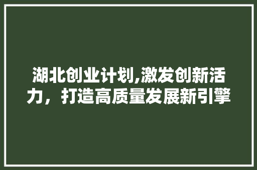 湖北创业计划,激发创新活力，打造高质量发展新引擎