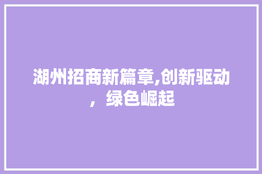 湖州招商新篇章,创新驱动，绿色崛起