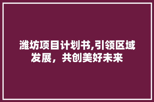 潍坊项目计划书,引领区域发展，共创美好未来