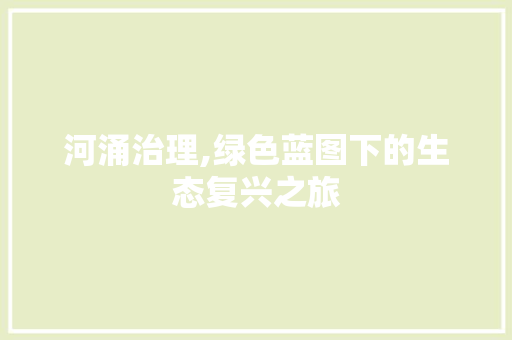 河涌治理,绿色蓝图下的生态复兴之旅