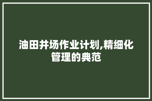油田井场作业计划,精细化管理的典范