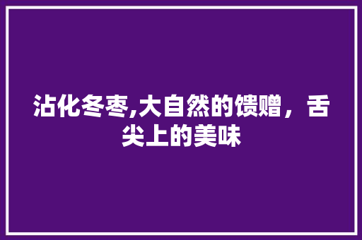 沾化冬枣,大自然的馈赠，舌尖上的美味