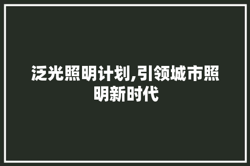 泛光照明计划,引领城市照明新时代
