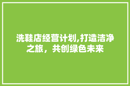 洗鞋店经营计划,打造洁净之旅，共创绿色未来