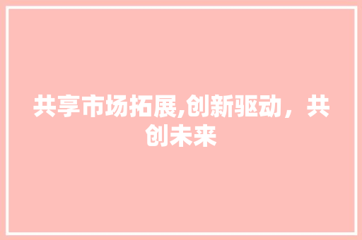 共享市场拓展,创新驱动，共创未来
