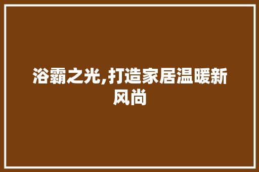 浴霸之光,打造家居温暖新风尚